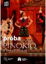 Plakat - FRAGMENT PRÓBY - 